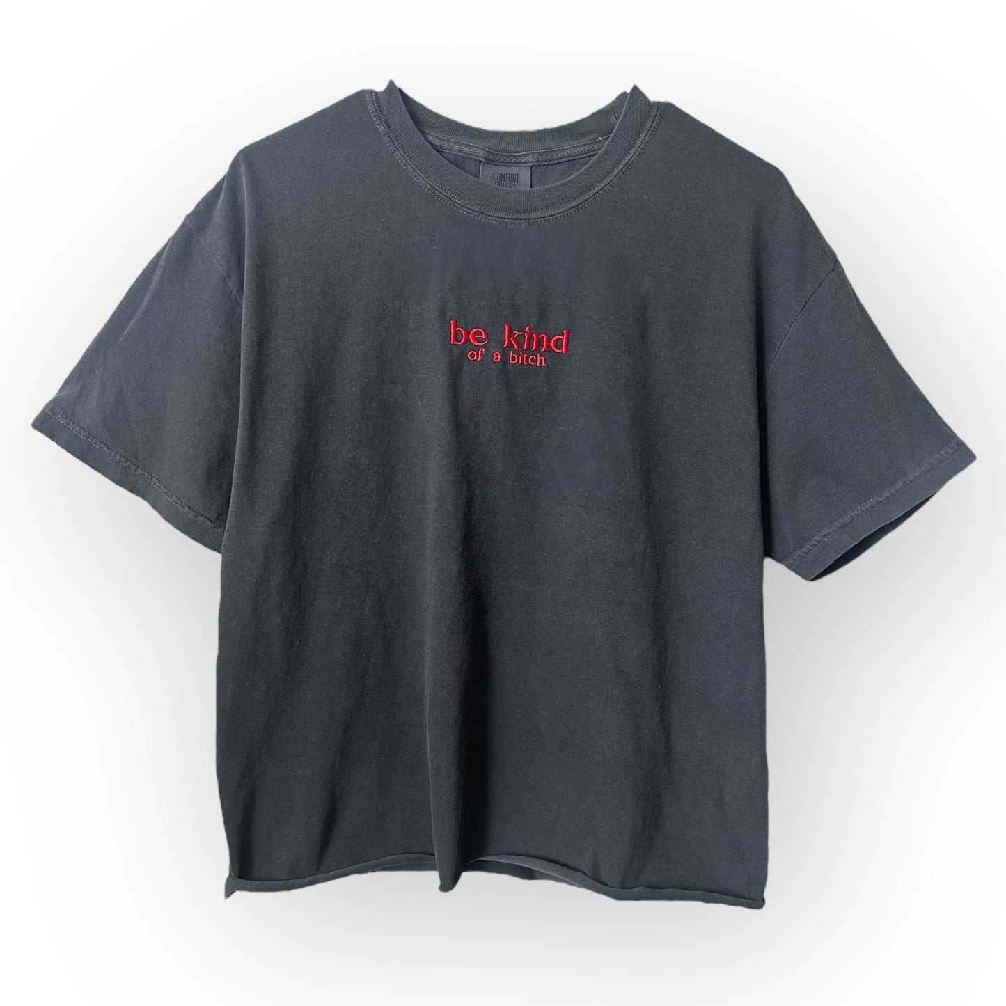 BE KIND T SHIRT