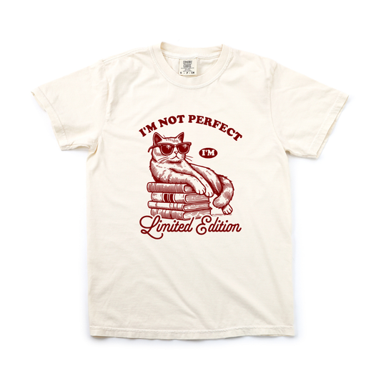 IM NOT PERFECT